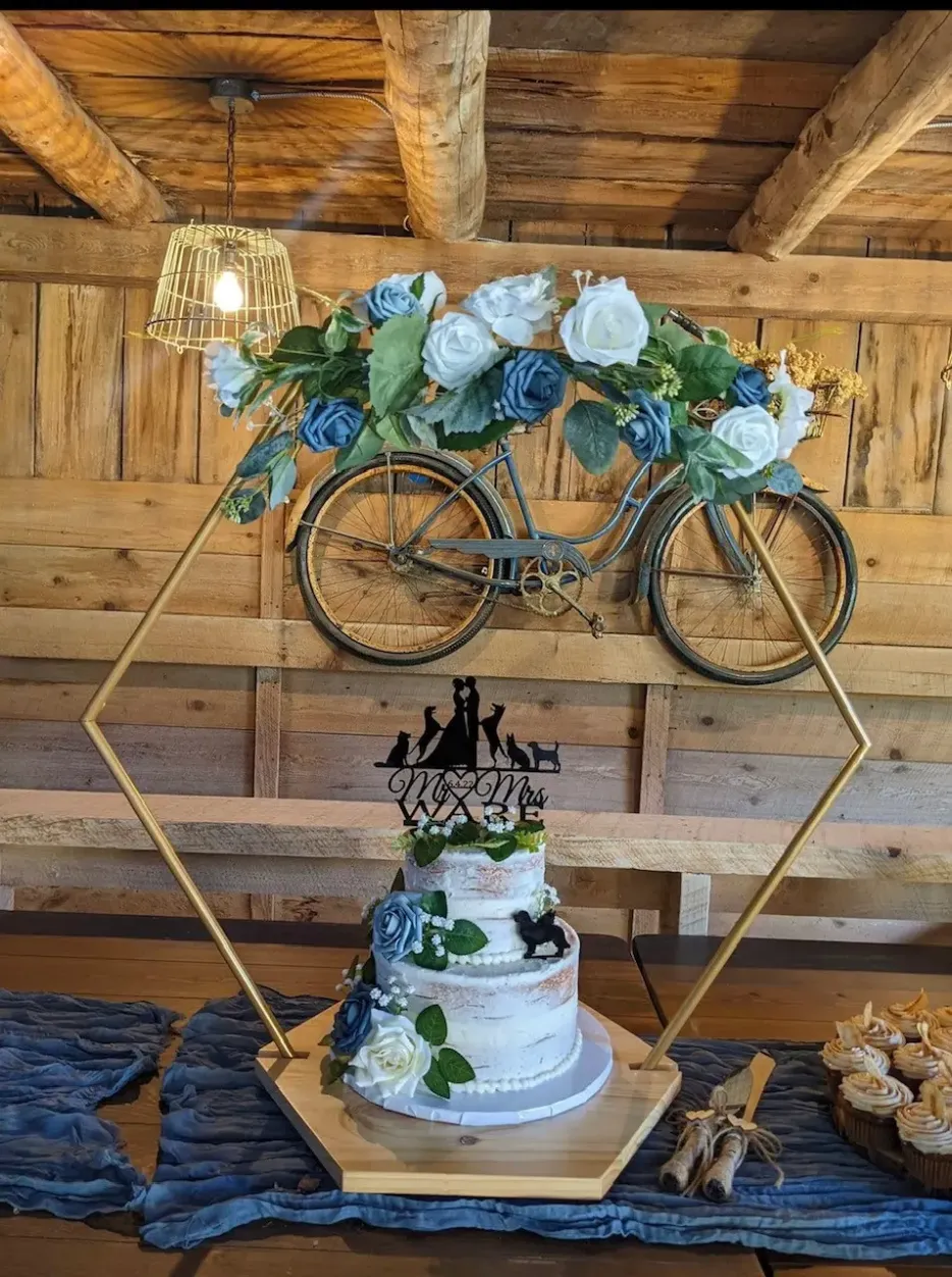 cake set up with cute hexagon old carter barn